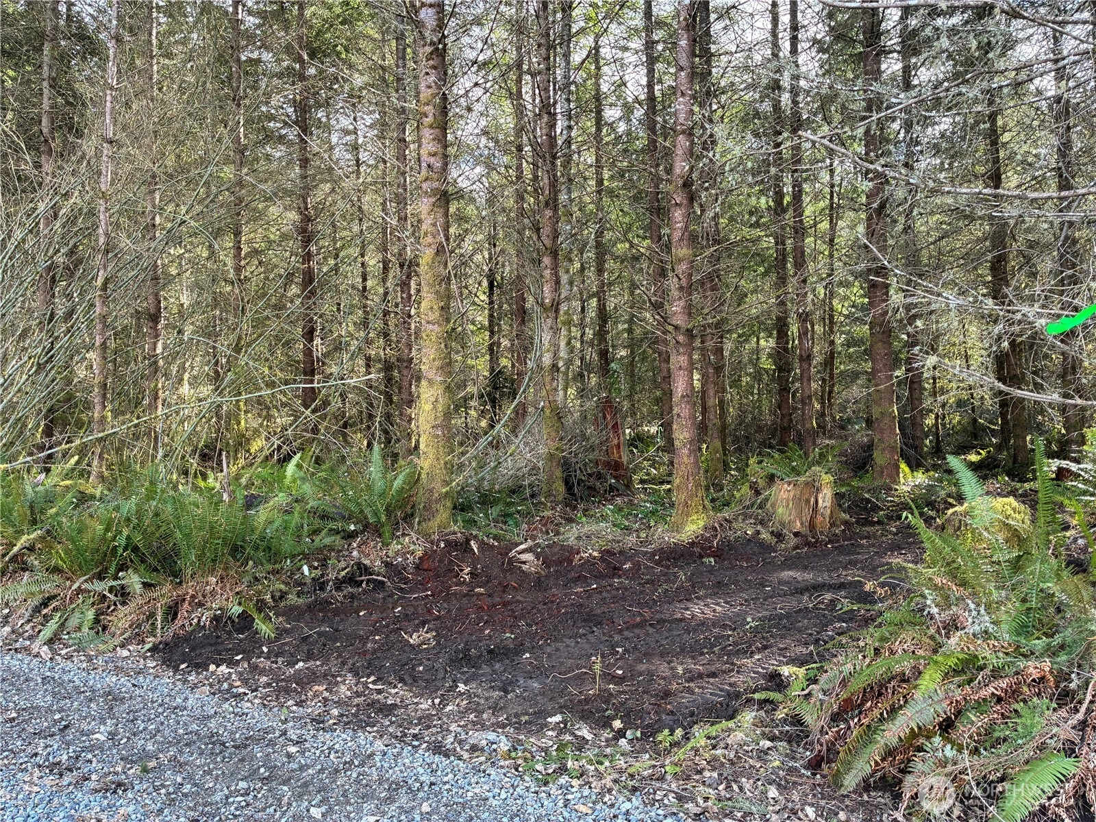 28840 Freelane Rd Unit  Carbonado WA 98323