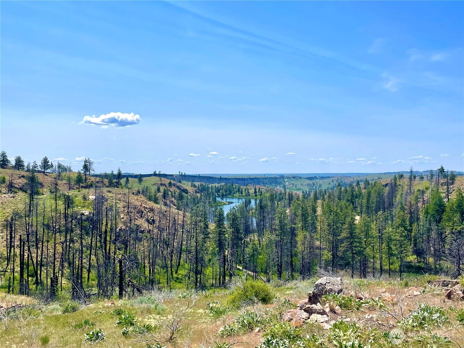 0 TBD Madd Mtn Rd Okanogan WA 98840