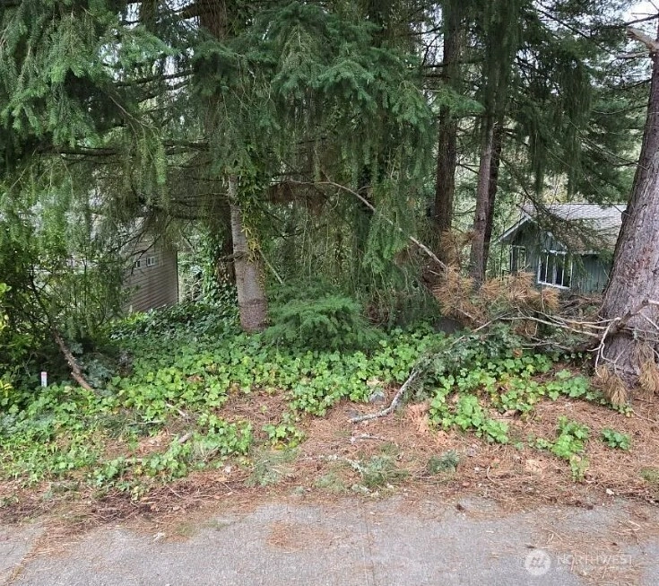 4684 152nd Pl SE Bellevue WA 98006