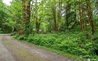 0 XXXX 641st Ave NE Baring WA 98224