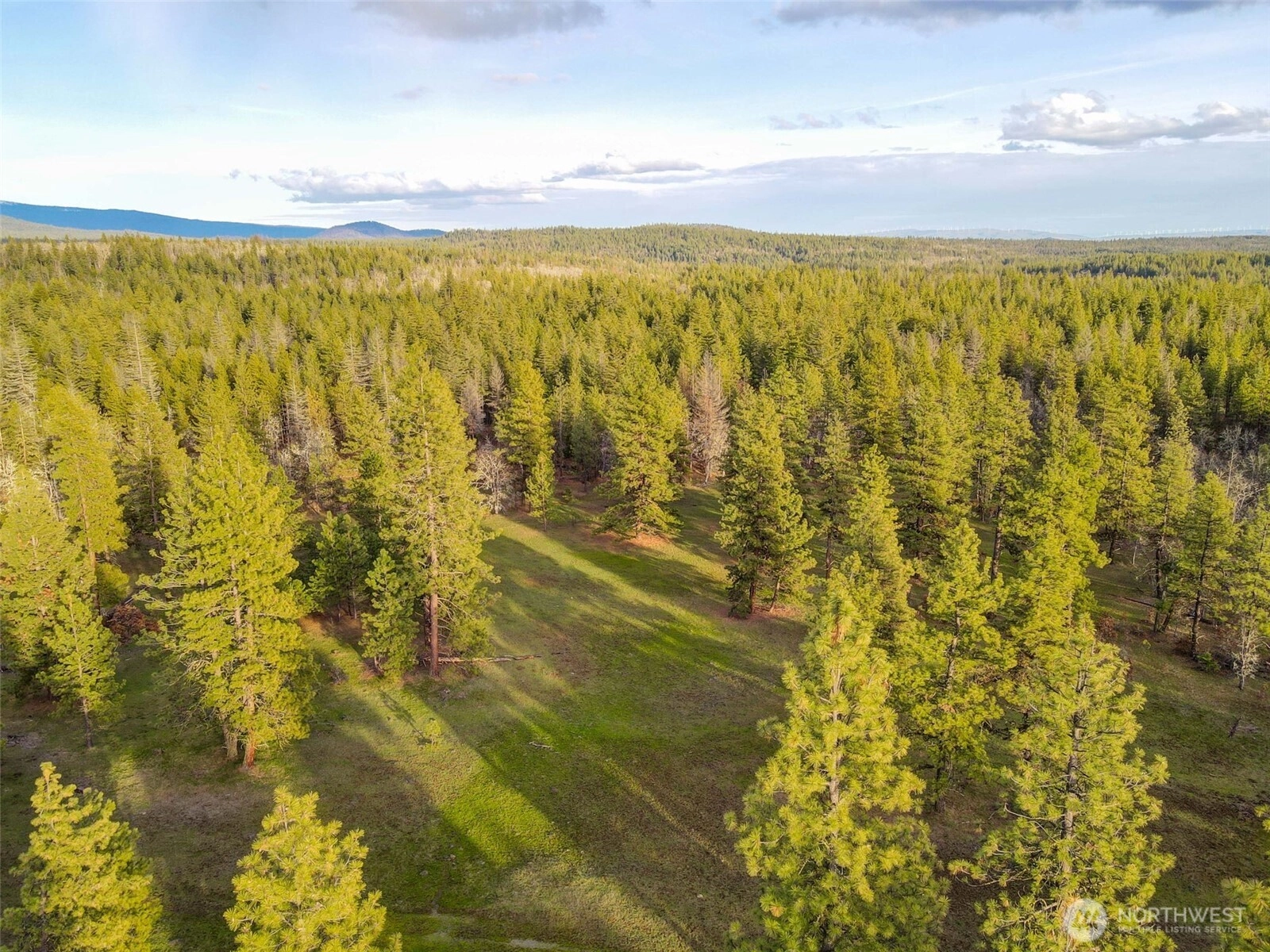 0 Lot 8 Greyback Mountain Rd Unit  Goldendale WA 98620