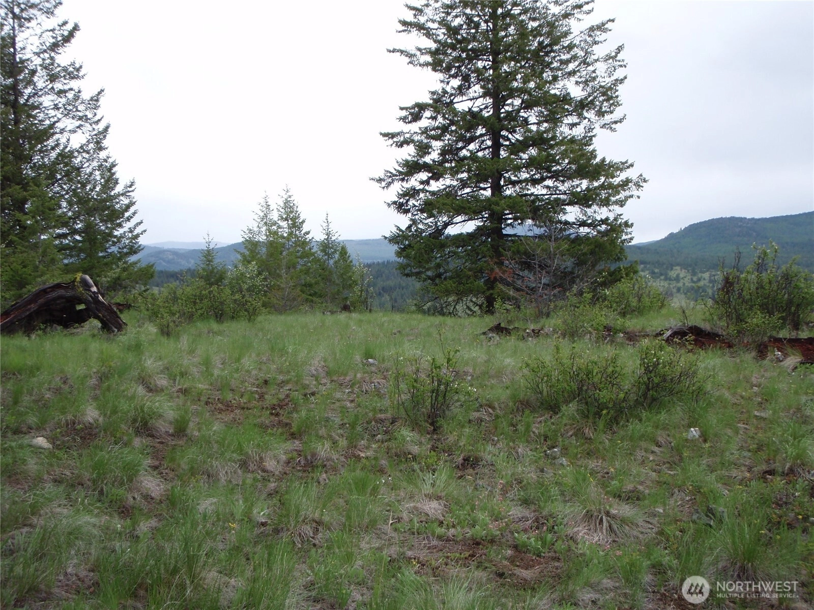 Edgewood Ln Curlew WA 99118
