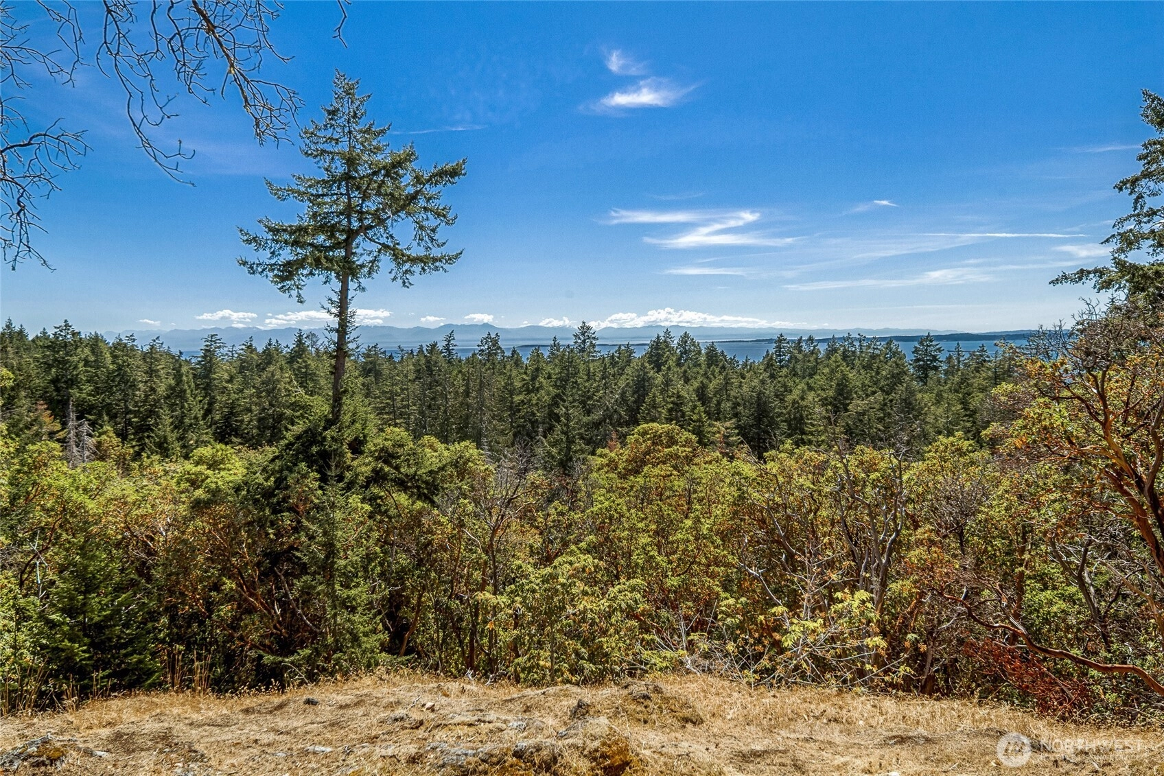 179 High Haro Dr San Juan Island WA 98250