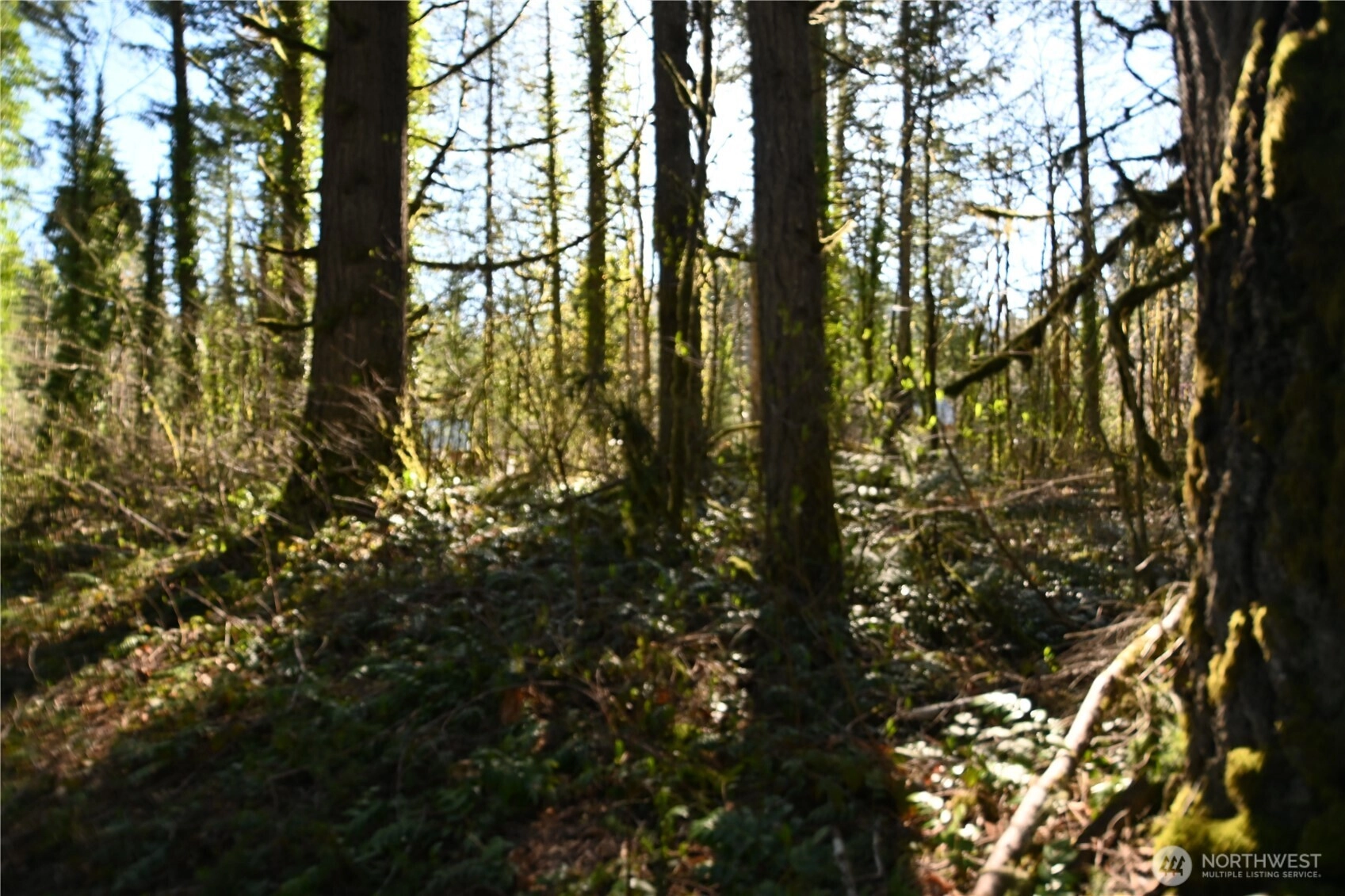 Old Cascade Hwy Unit  Skykomish WA 98288