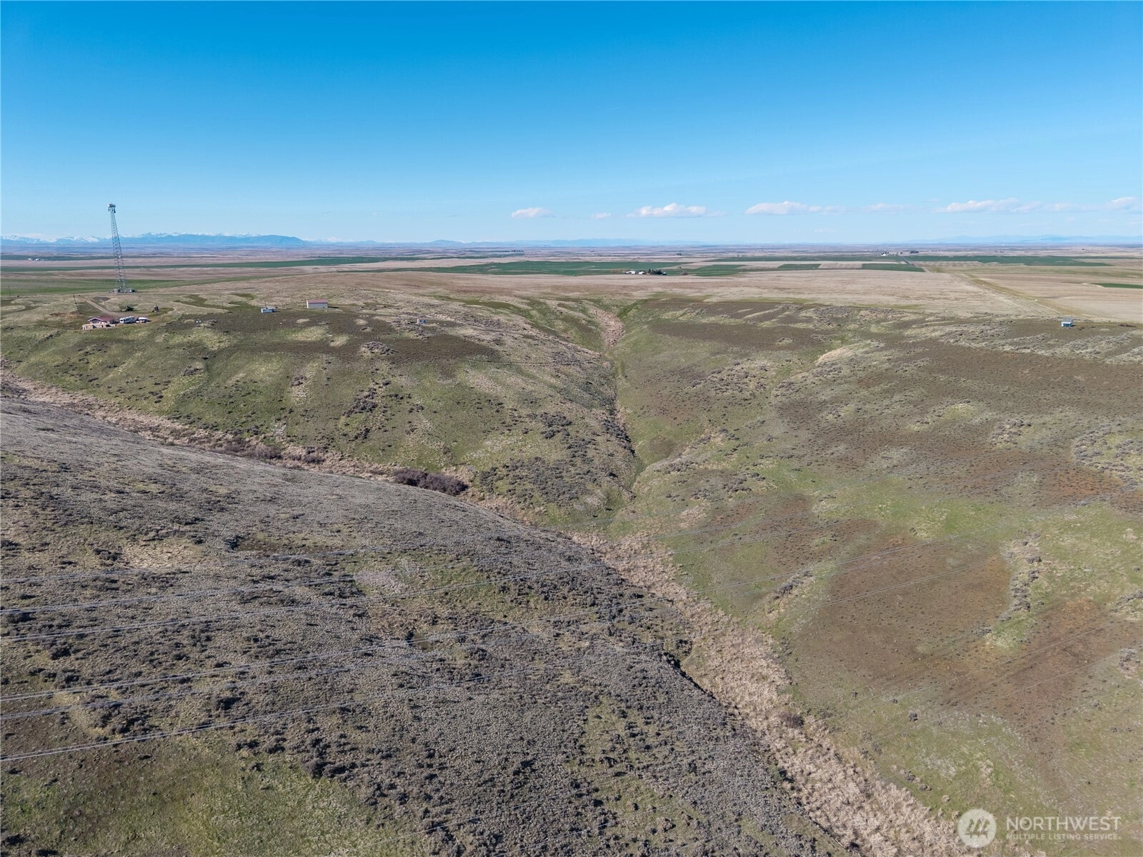 Shelton Rd Coulee City WA 99115