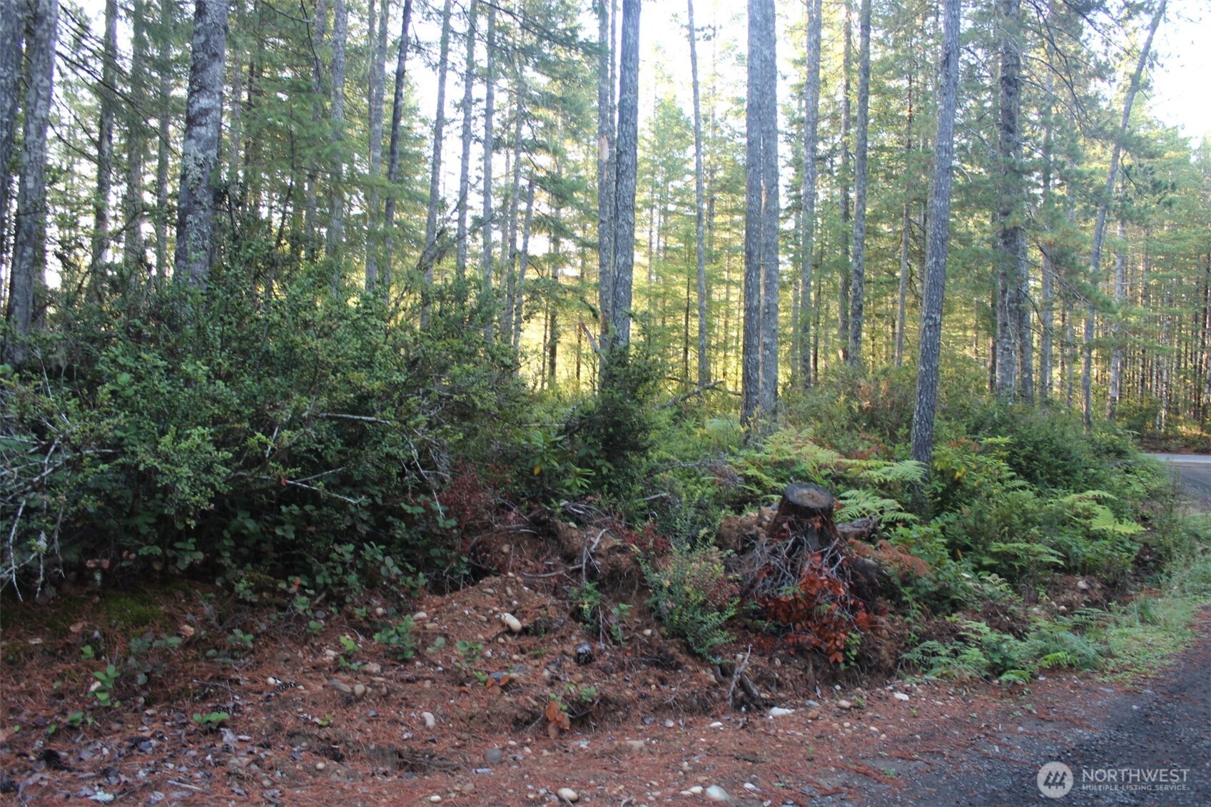 3511 NE Tahuya Blacksmith Rd Tahuya WA 98588