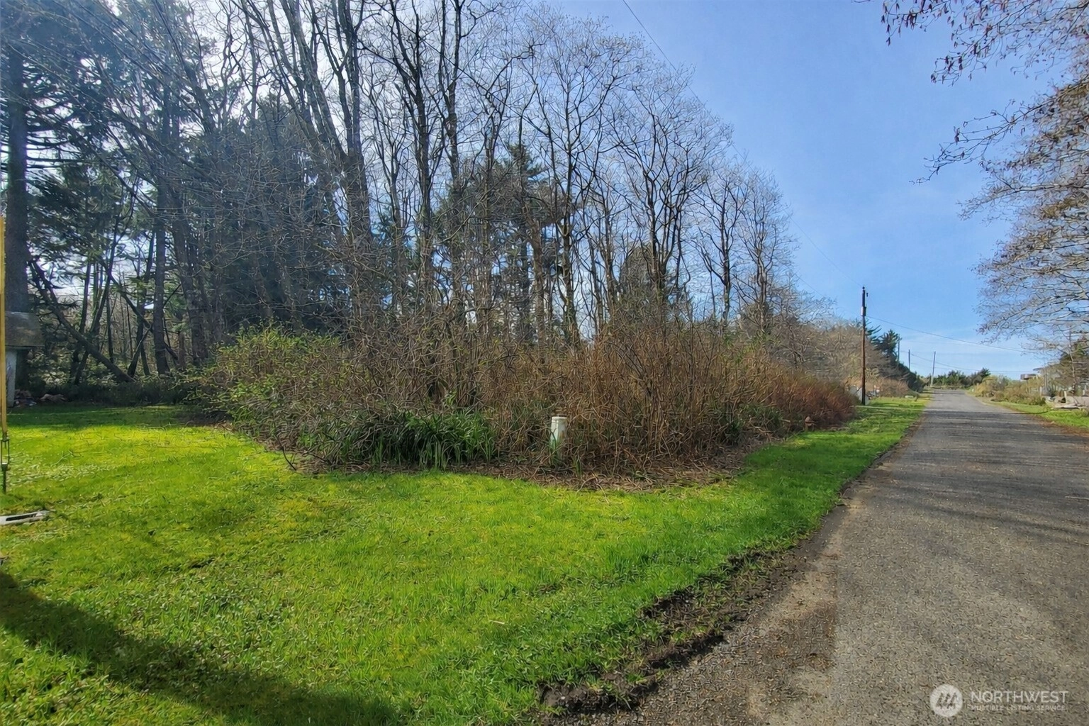 18 Woodland Dr Copalis Beach WA 98535