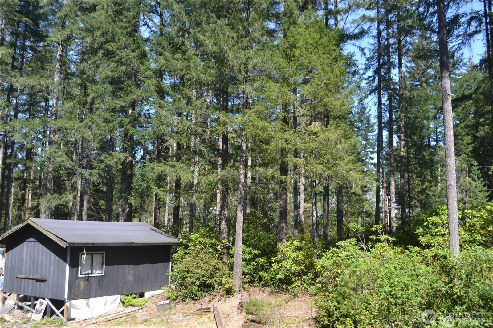 0 Lot #55 NE Collins Dr Unit  Tahuya WA 98588