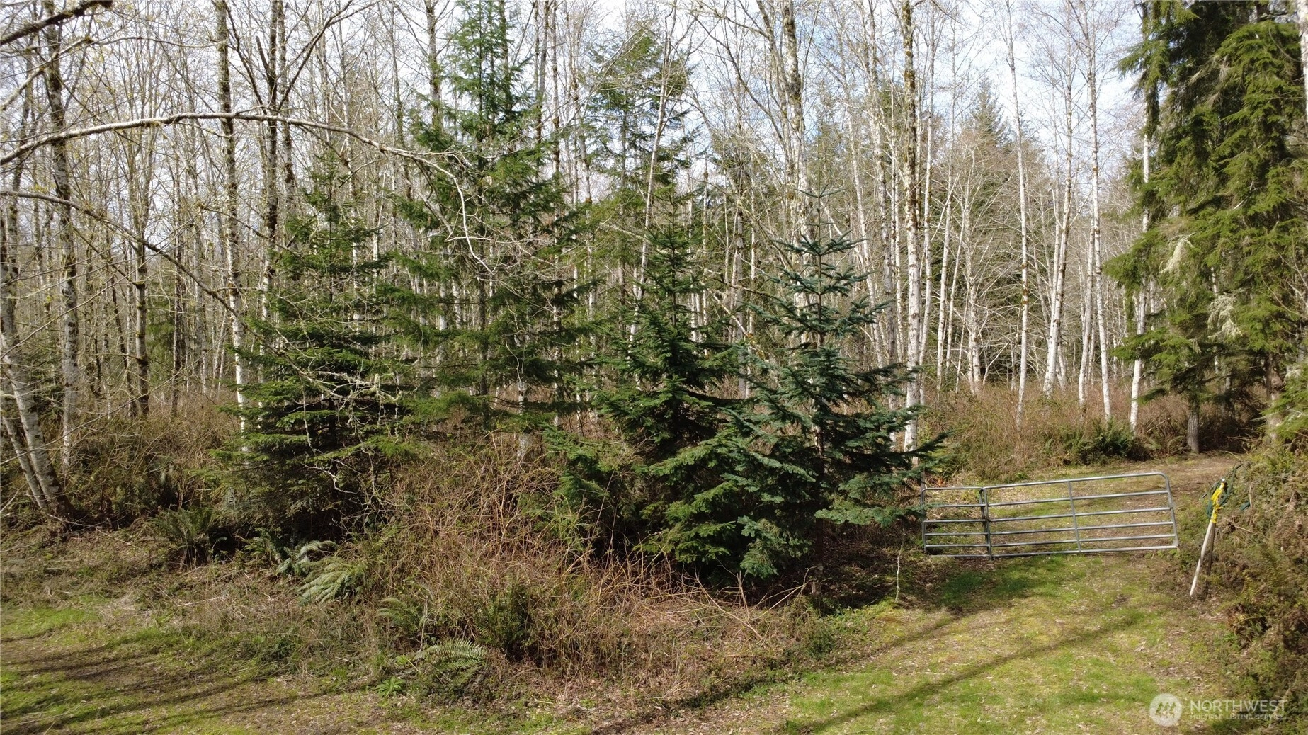 1 XXXX Blacktail Ct Quilcene WA 98376
