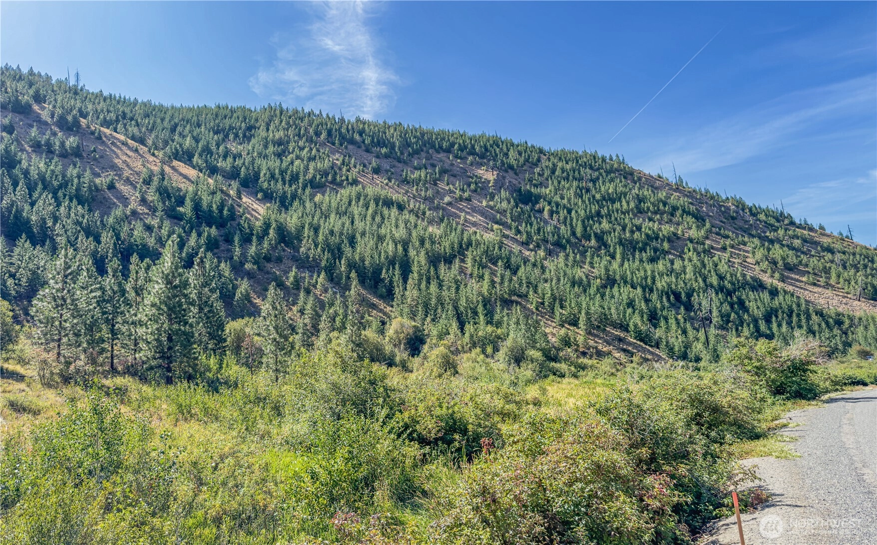 10558 Mud Creek Rd Unit  Entiat WA 98822