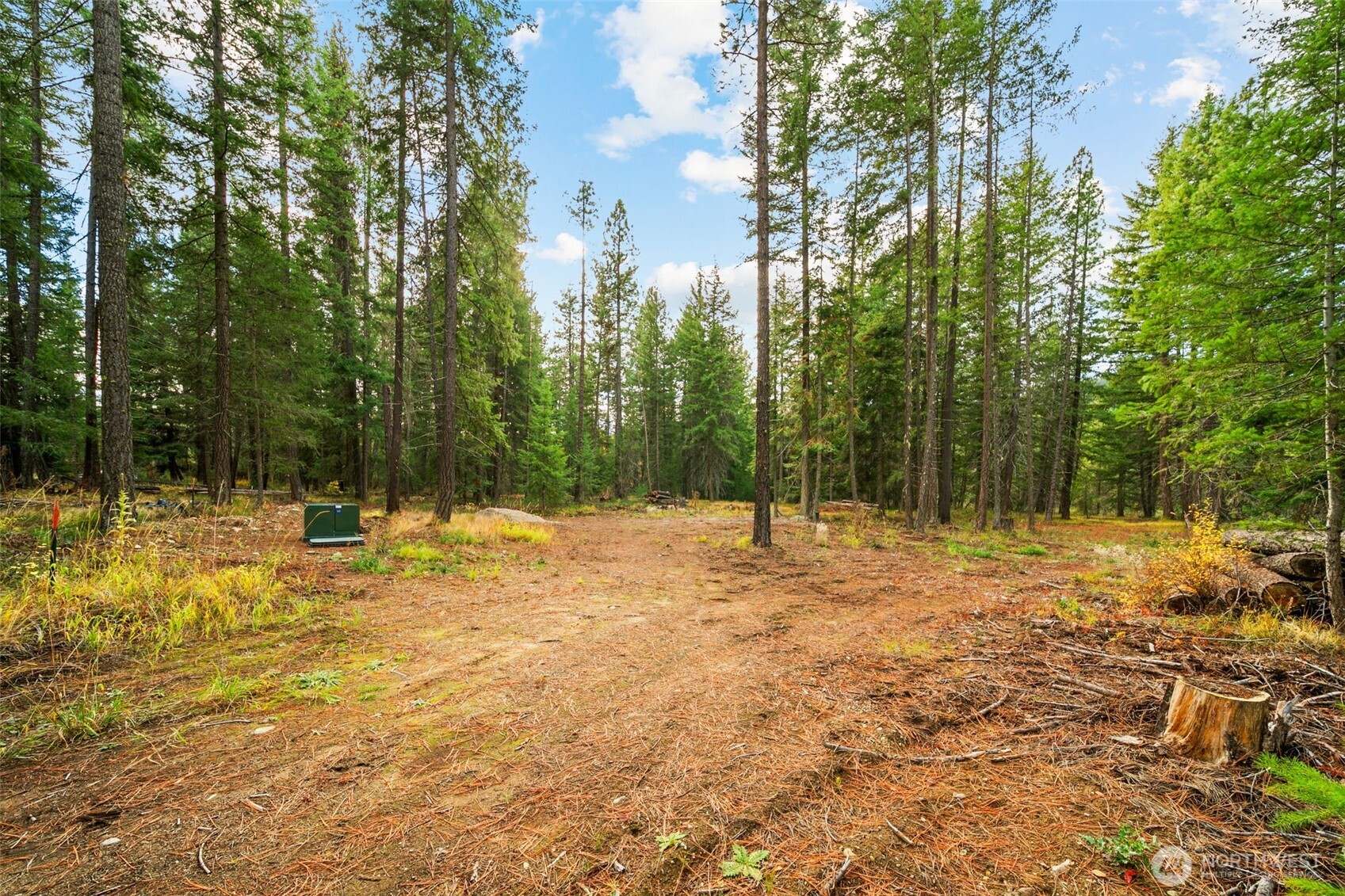 S Shugart Flats Rd Unit  Leavenworth WA 98826