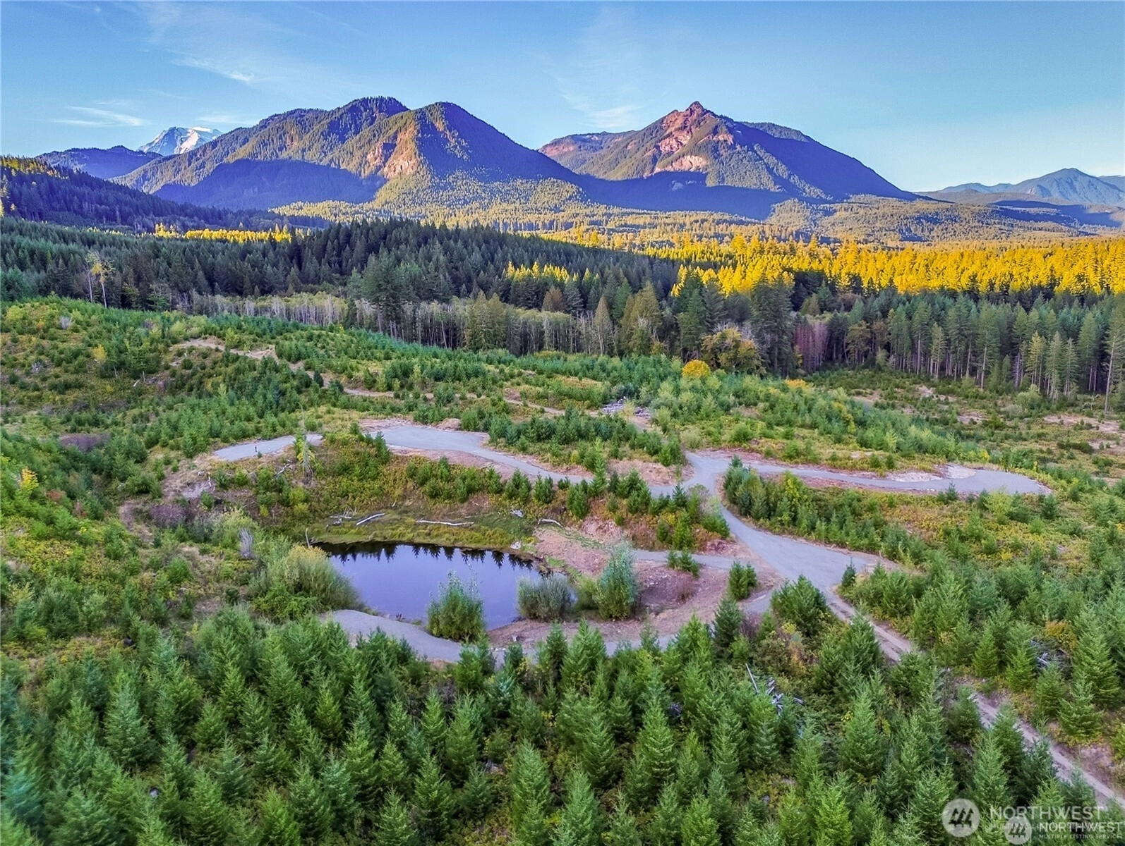 294 Hardy Ln Packwood WA 98361