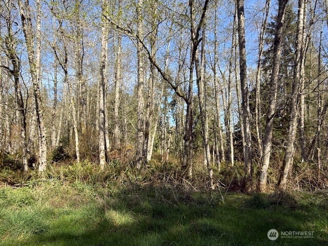 0 Lot 15 Ander Park Rd Freeland WA 98249