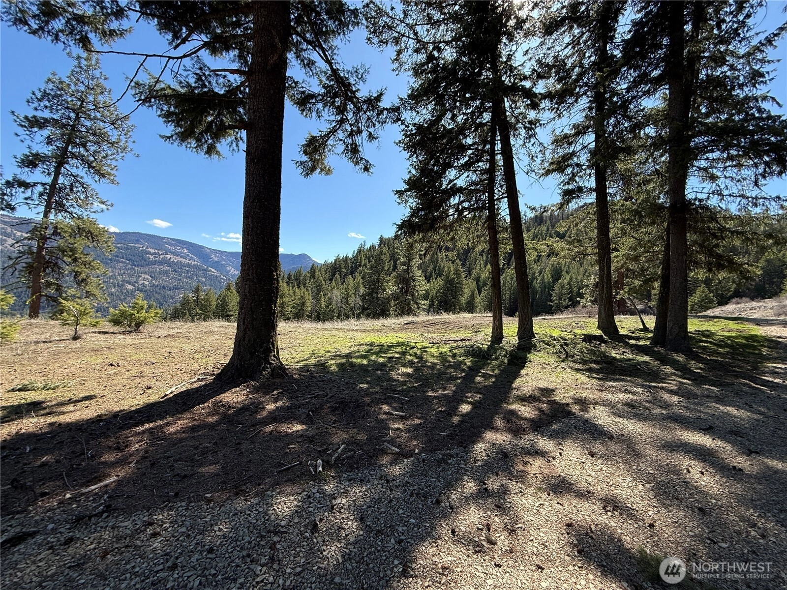 Coogan Creek Rd Wauconda WA 98859