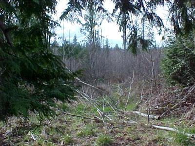 0 Lot 1 Malone Hill Rd Unit  Malone WA 98559