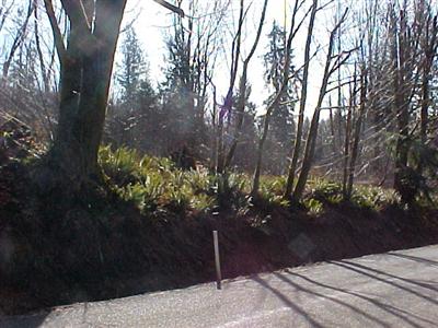 0 Lot 2 Malone Hill Rd Unit  Malone WA 98559