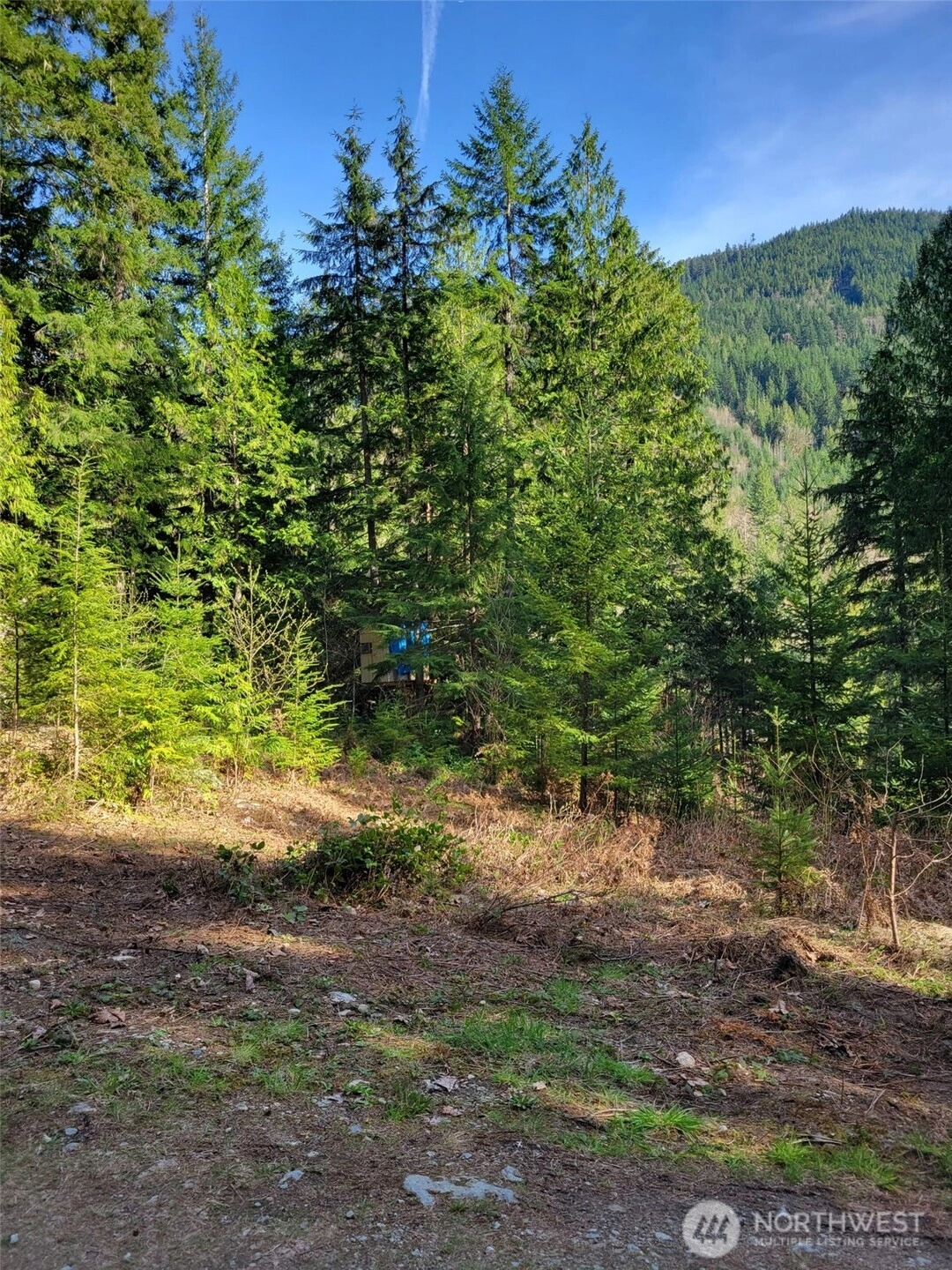 Acorn Ln Unit  Marblemount WA 98267