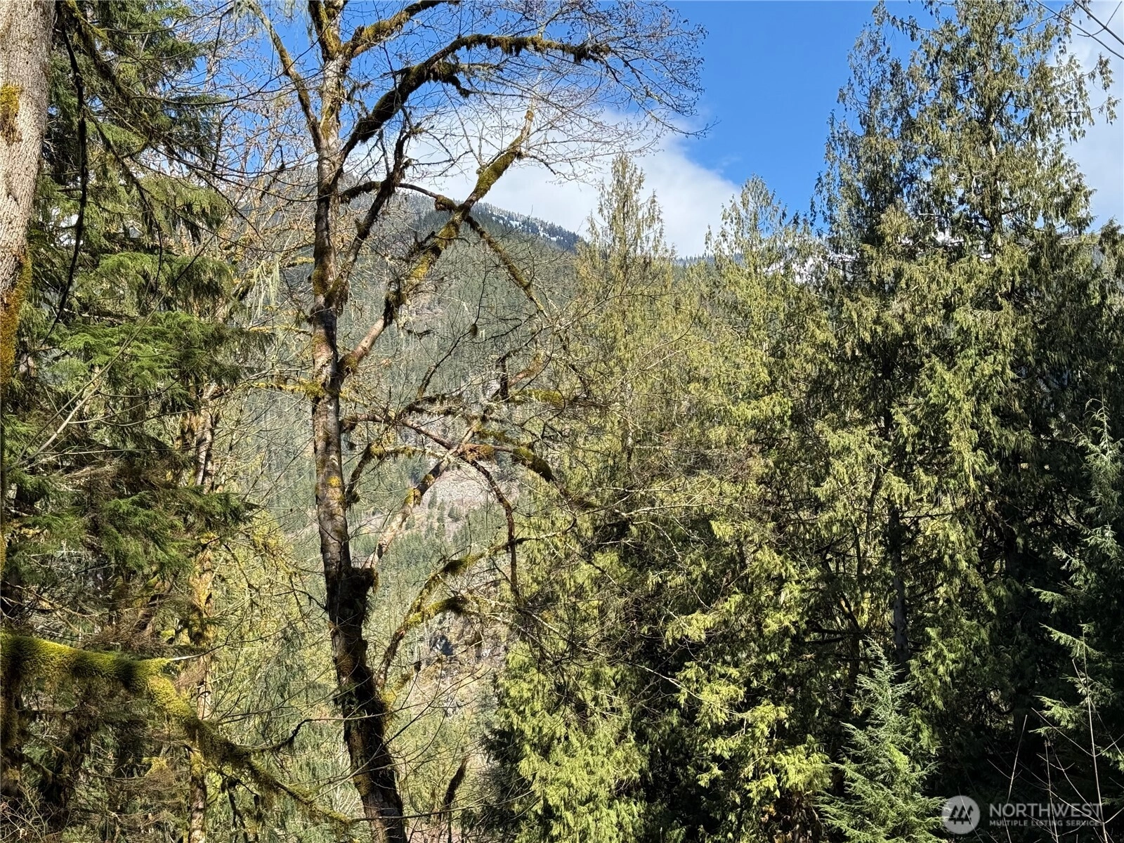 High Ridge Dr Unit  Marblemount WA 98267