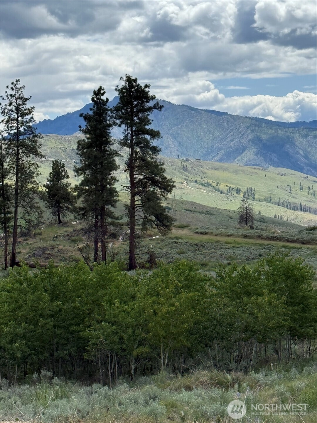 3 Ruttin Ridge Road Unit  Methow WA 98834