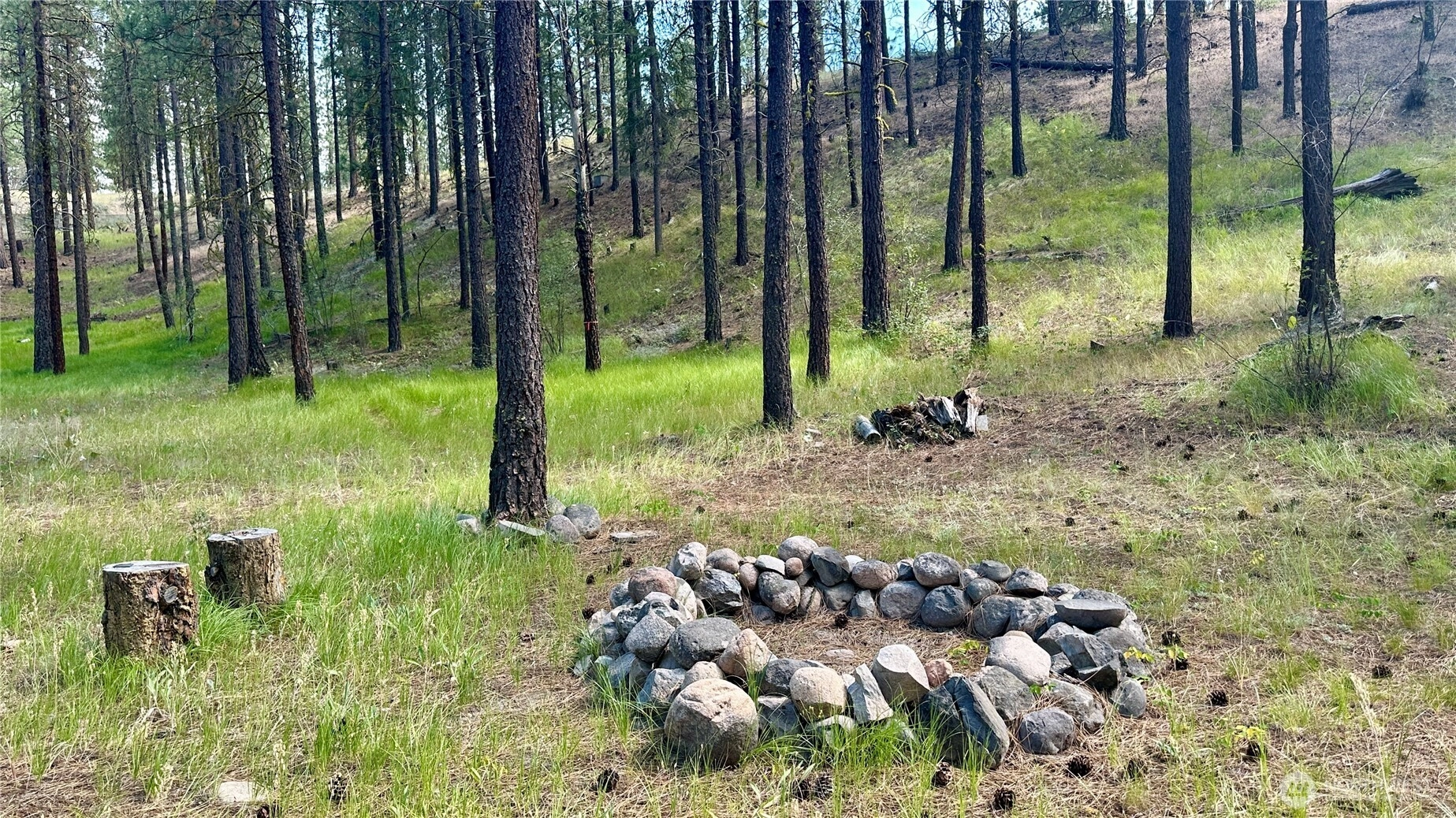 98 Larkspur Dr Unit  Winthrop WA 98862