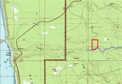 0 23 Acres Clearwater Queets WA 98331