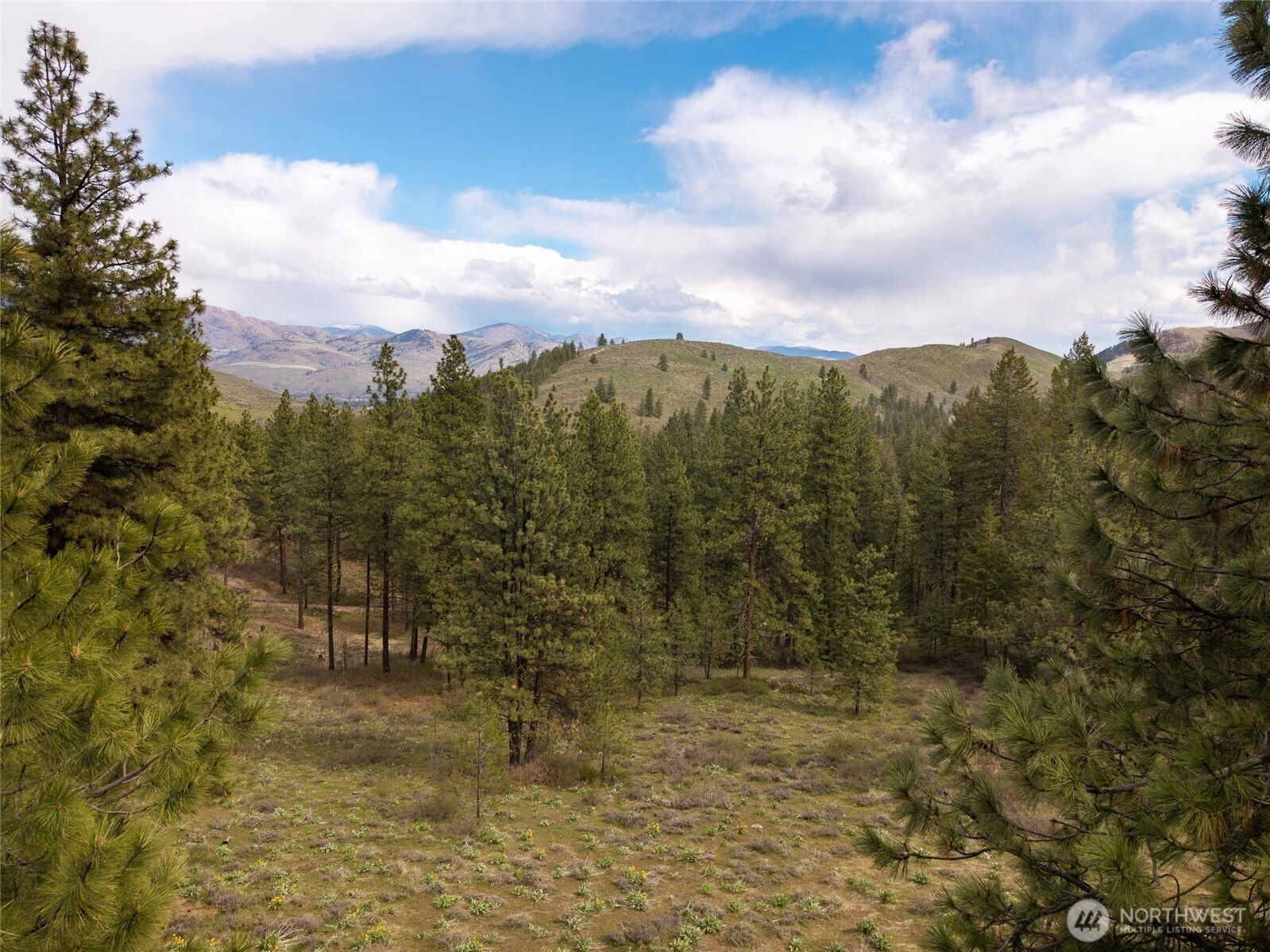 9 Whitebark Ln Unit  Winthrop WA 98862