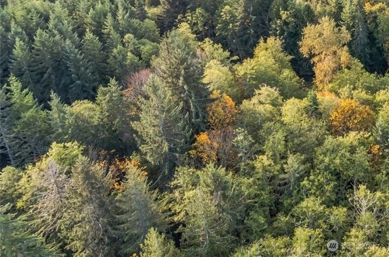 Kolisch Rd E Carbonado WA 98323
