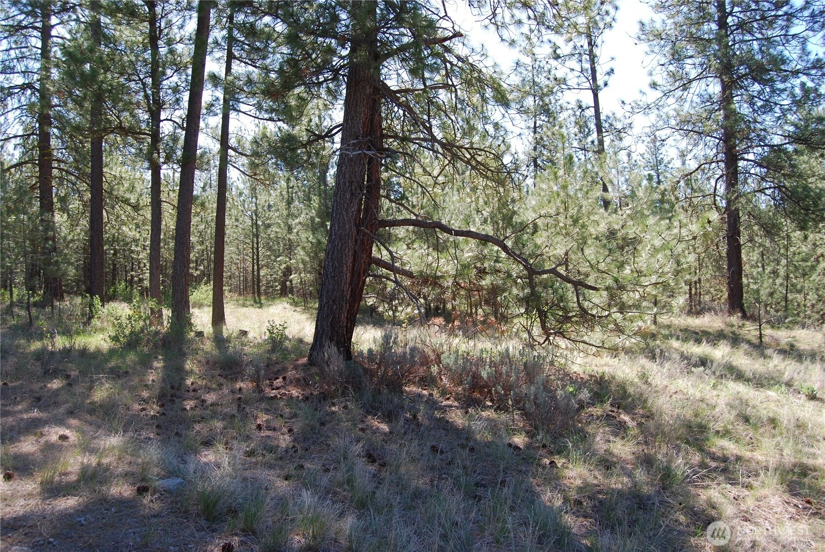 4 Chief Joseph Spur East Riverside WA 98849