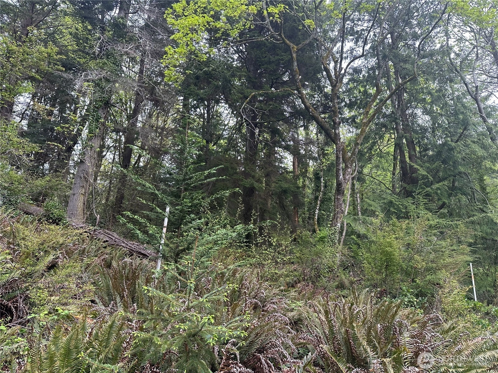 13 NE Shore Dr Unit  Indianola WA 98342