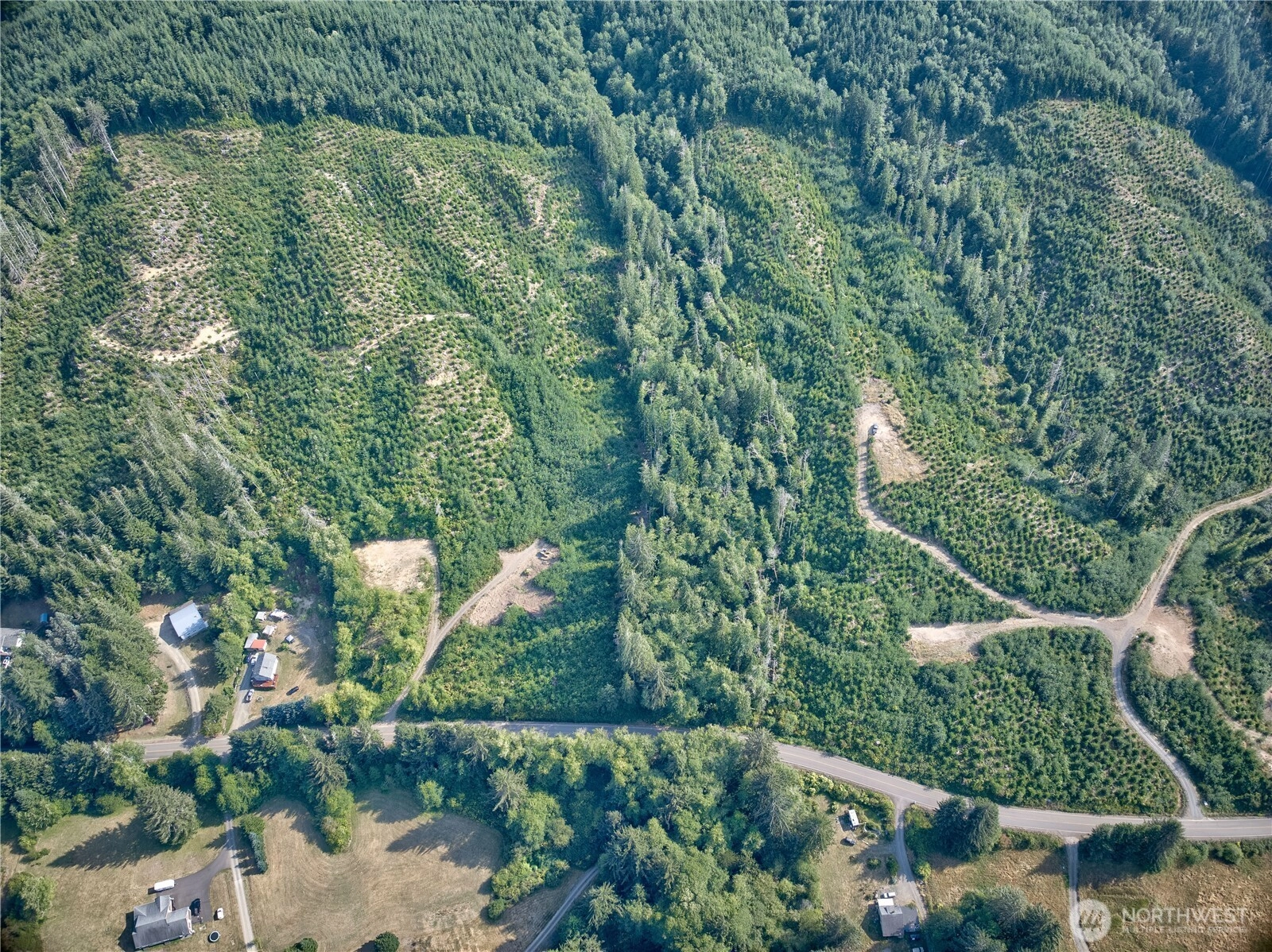 0 Tract 4 South Valley Rd Naselle WA 98638
