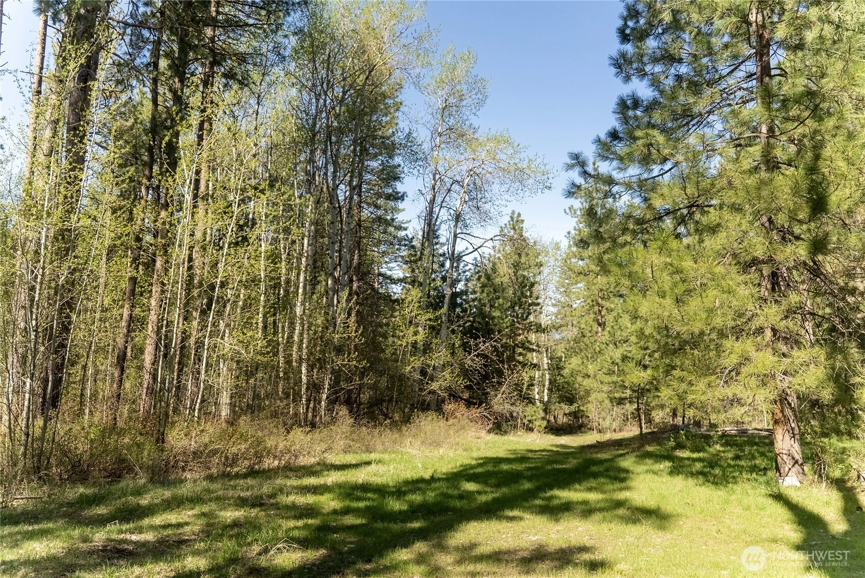 19 Stagecoach Rd Carlton WA 98814