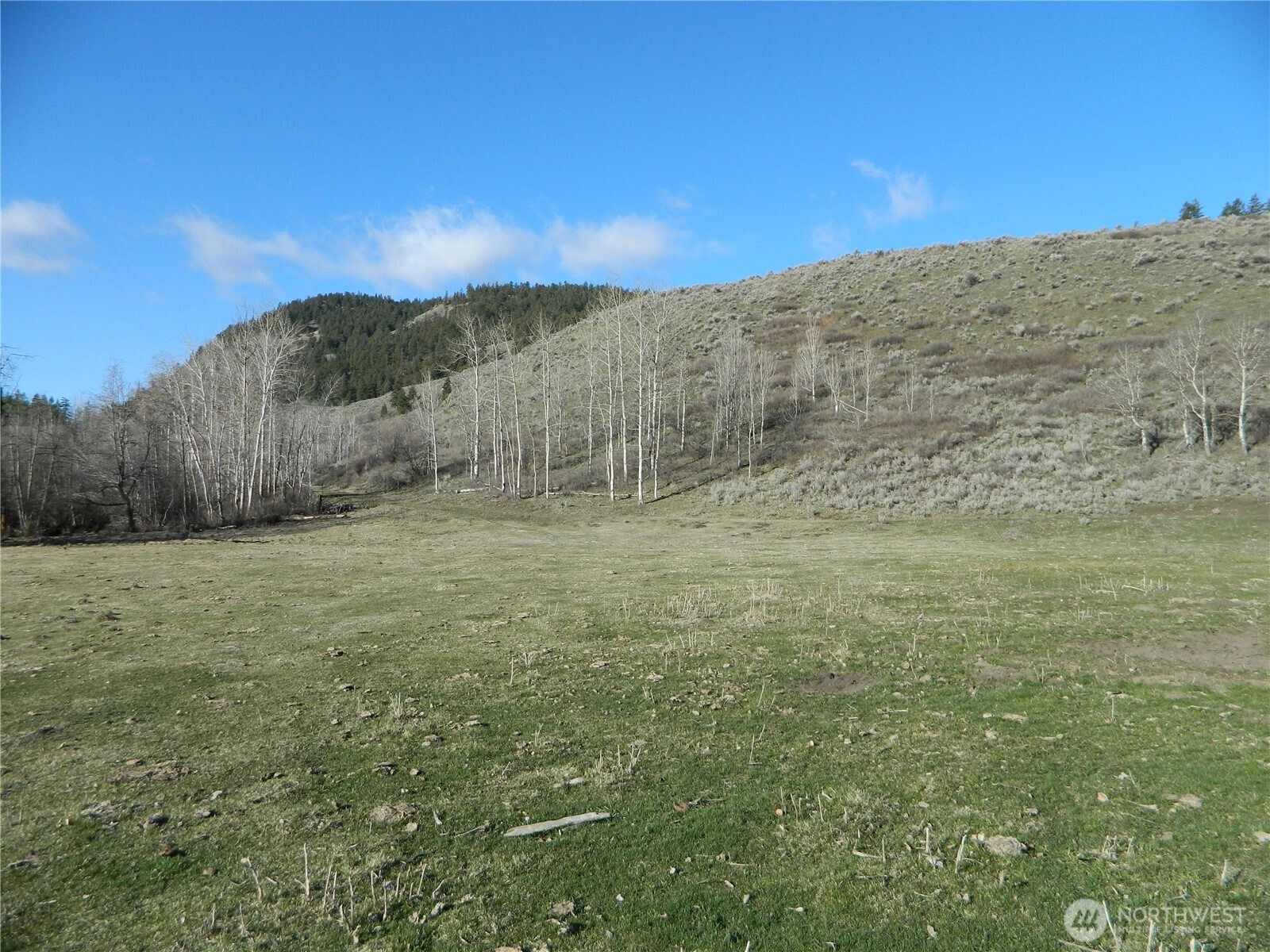 111 Tbd Ellemeham Mountain Ridge Rd Tonasket WA 98855