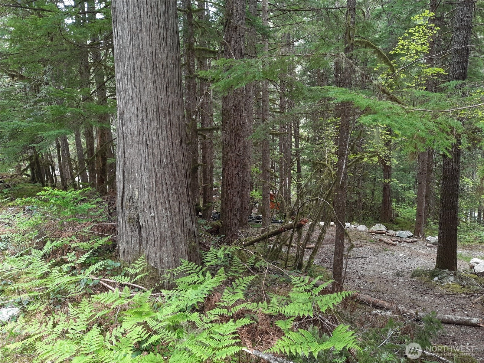 Cascade River Rd Unit  Marblemount WA 98263