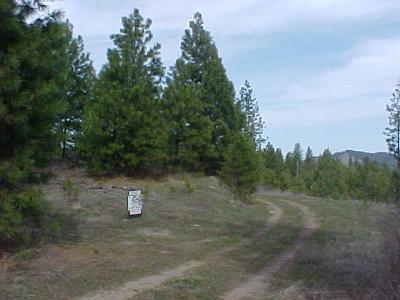 0 S/T/R Coyote Canyon Rd Hunters WA 99137