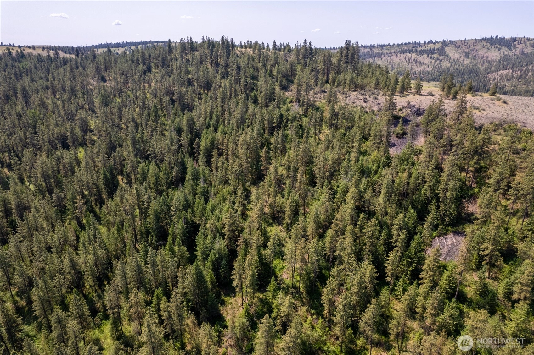 Peter Dan Creek Rd Coulee Dam WA 99116