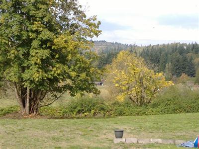 121 Carrolls Ave Carrolls WA 48609