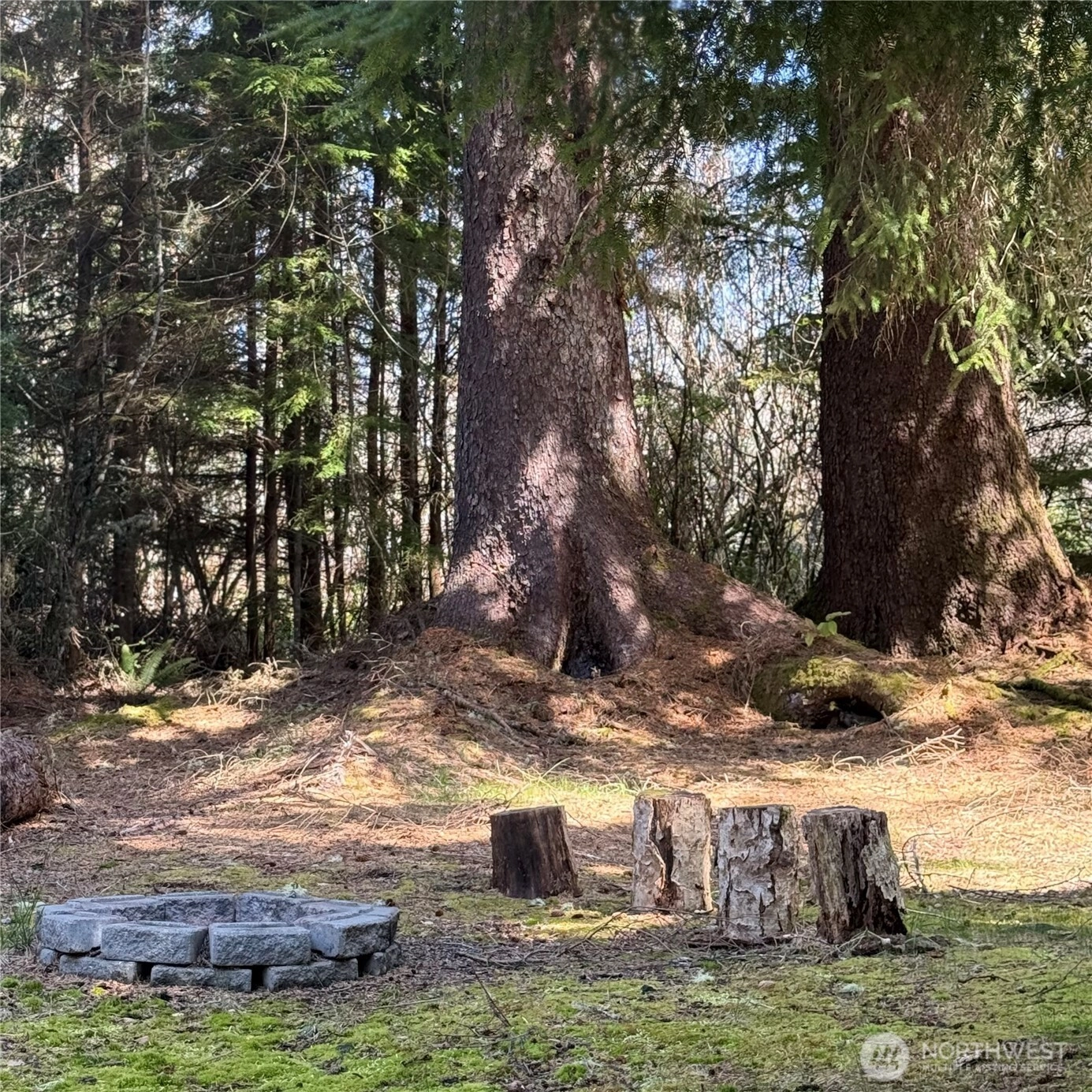 15500 Birch St Unit  Long Beach WA 98631