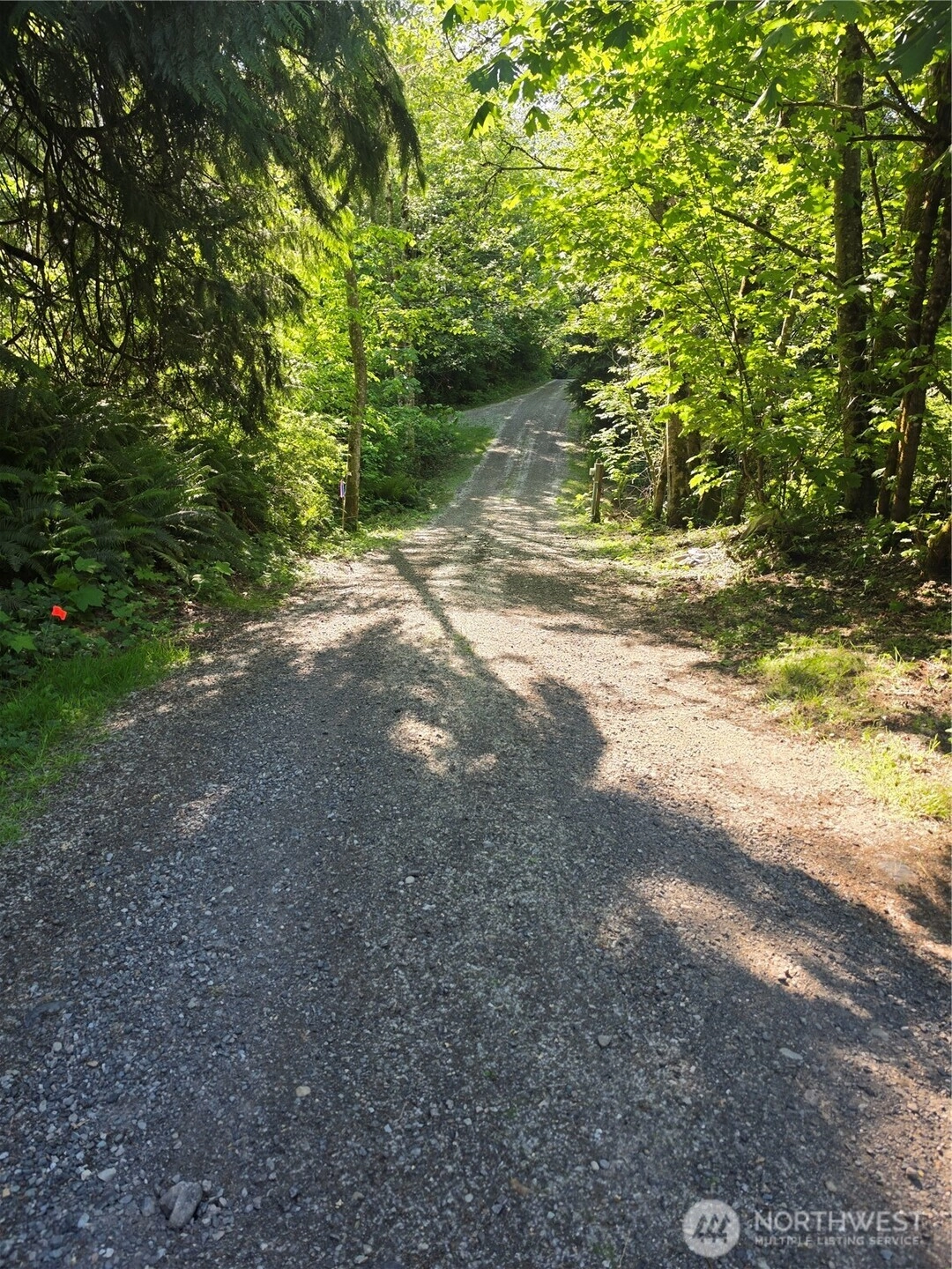 2825 W 88th Vista Custer WA 98240