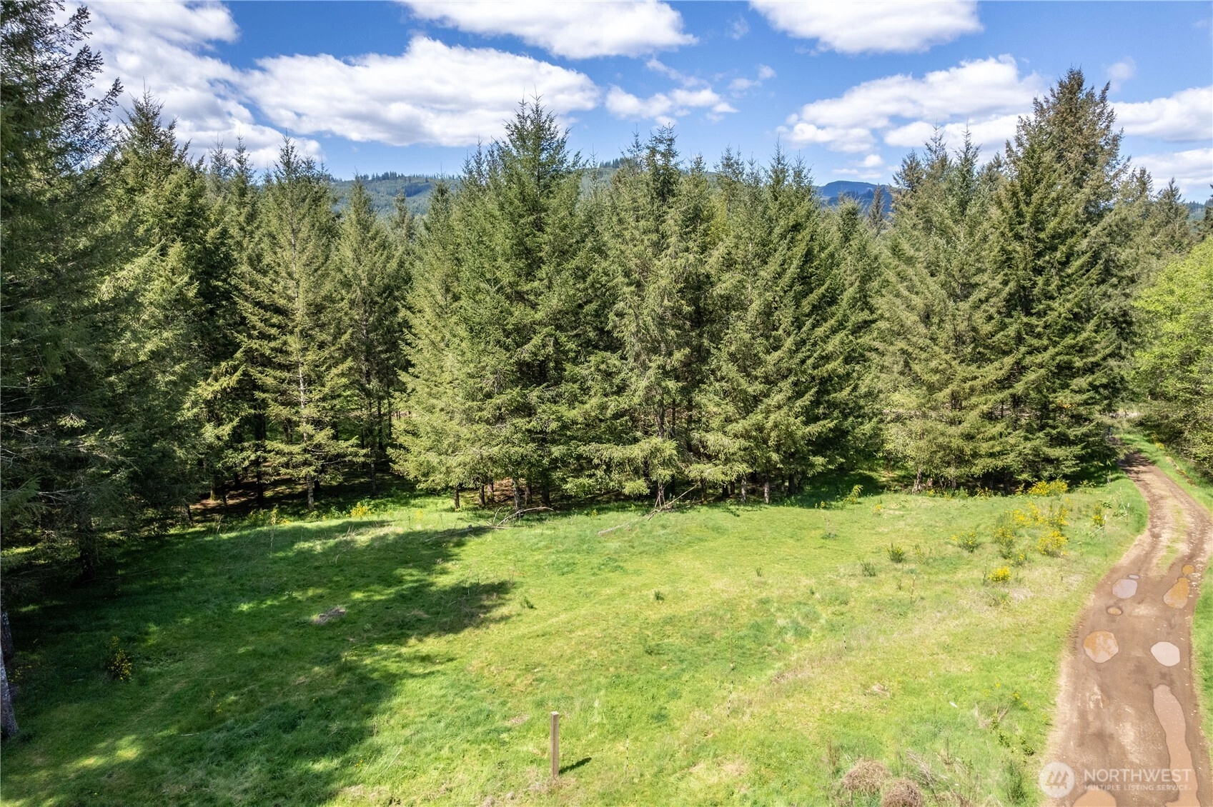 171 Sugarpine Rd Ariel WA 98603