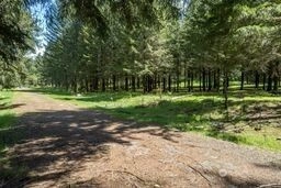 191 Sugarpine Rd Ariel WA 98603