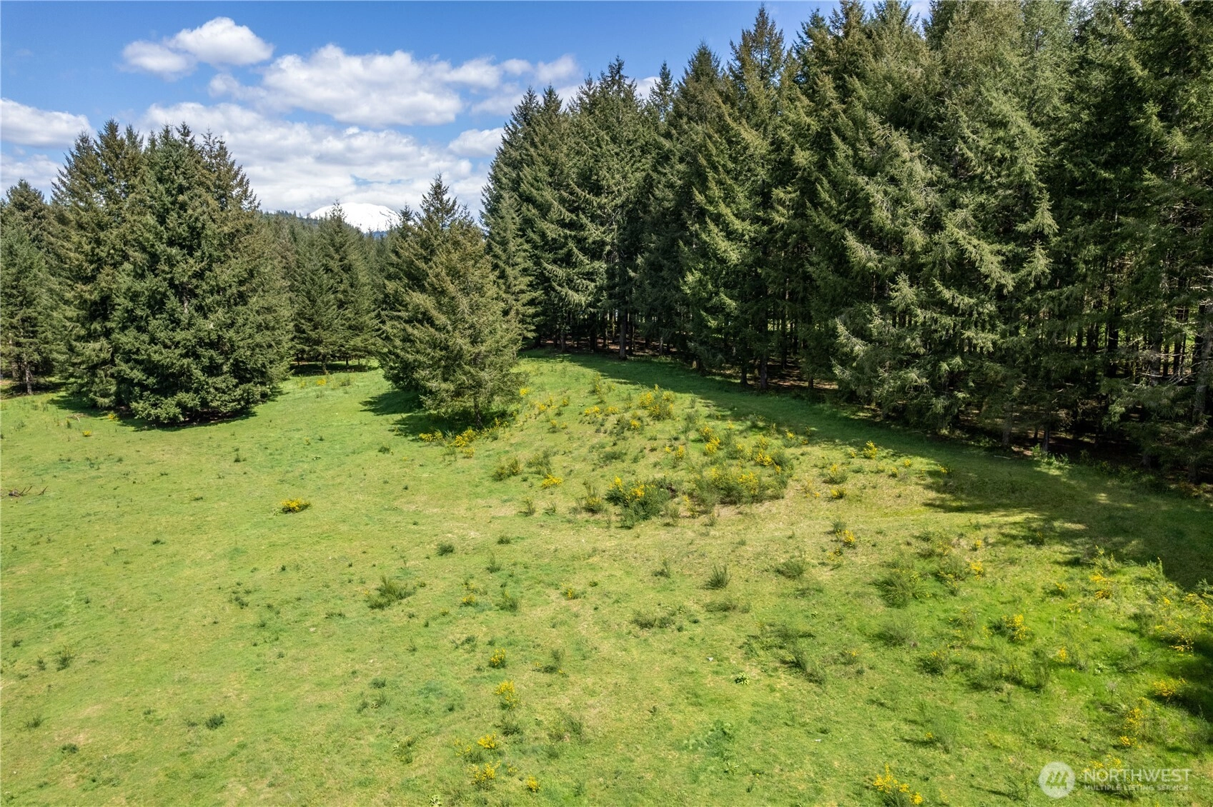 211 Sugarpine Rd Ariel WA 98603