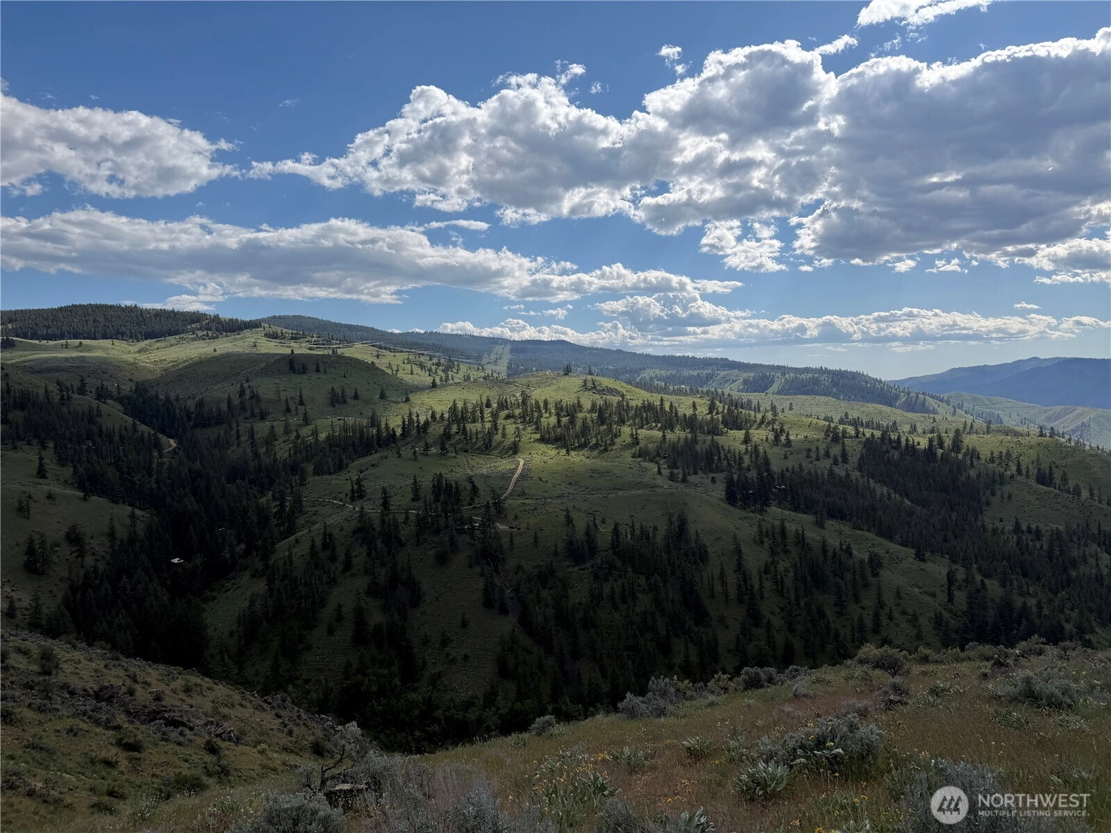 Tyee View Loop Unit  Waterville WA 98858