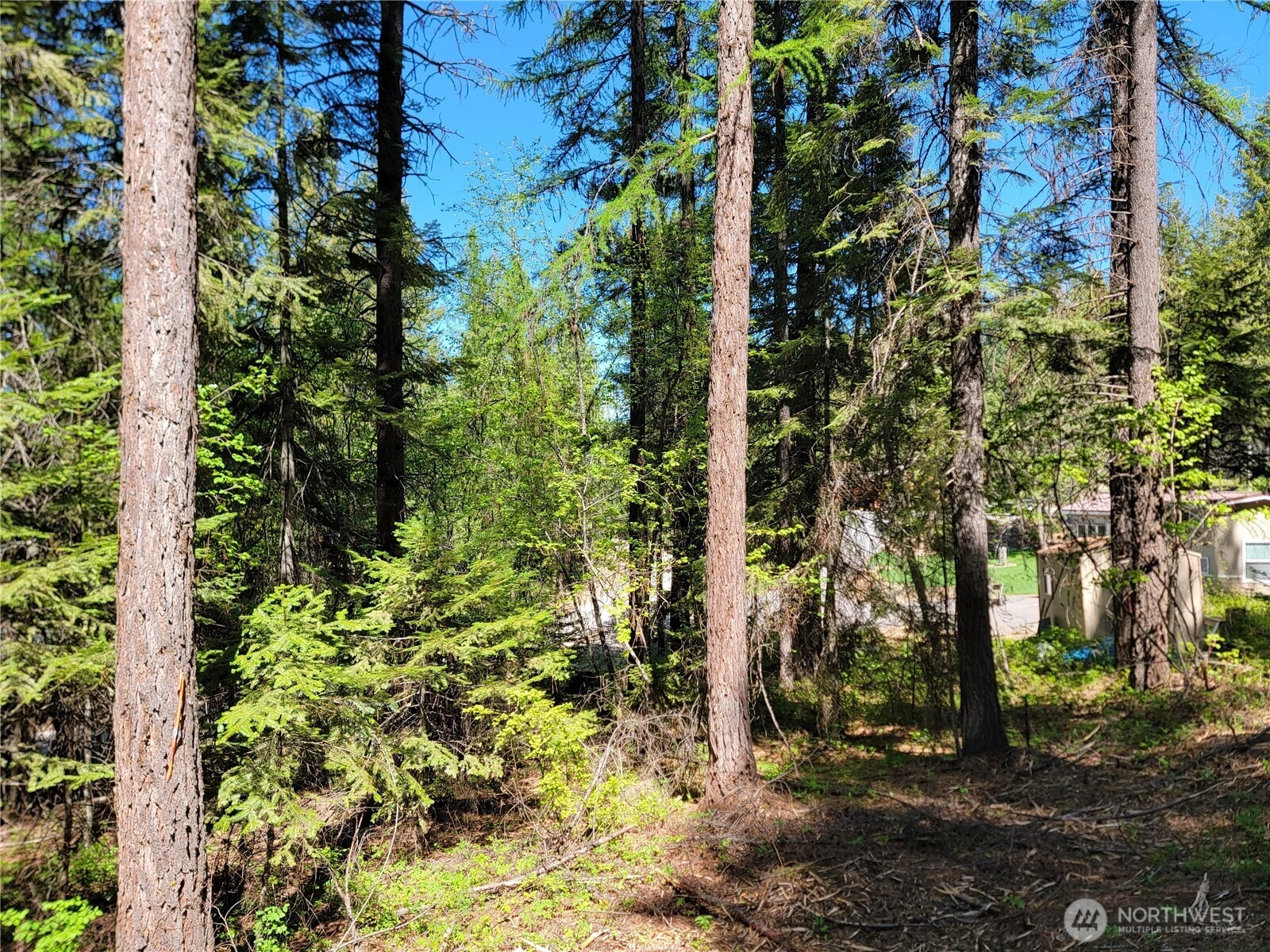 263 Twin Lakes Rd Unit  Inchelium WA 99138