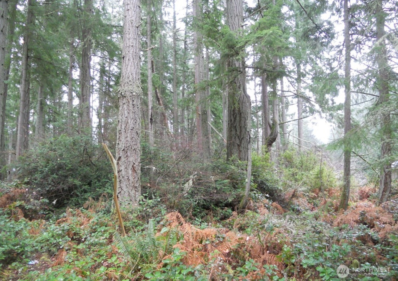 10315 107th Ave Ct Anderson Island WA 98303