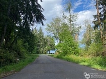 10419 107th St Ct Unit  Anderson Island WA 98303