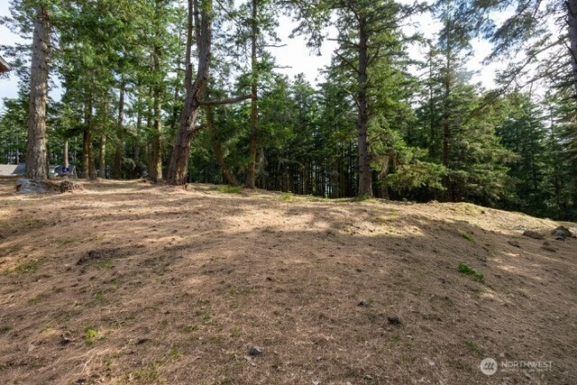 24 Mossyrock Rd Unit  Friday Harbor WA 98250