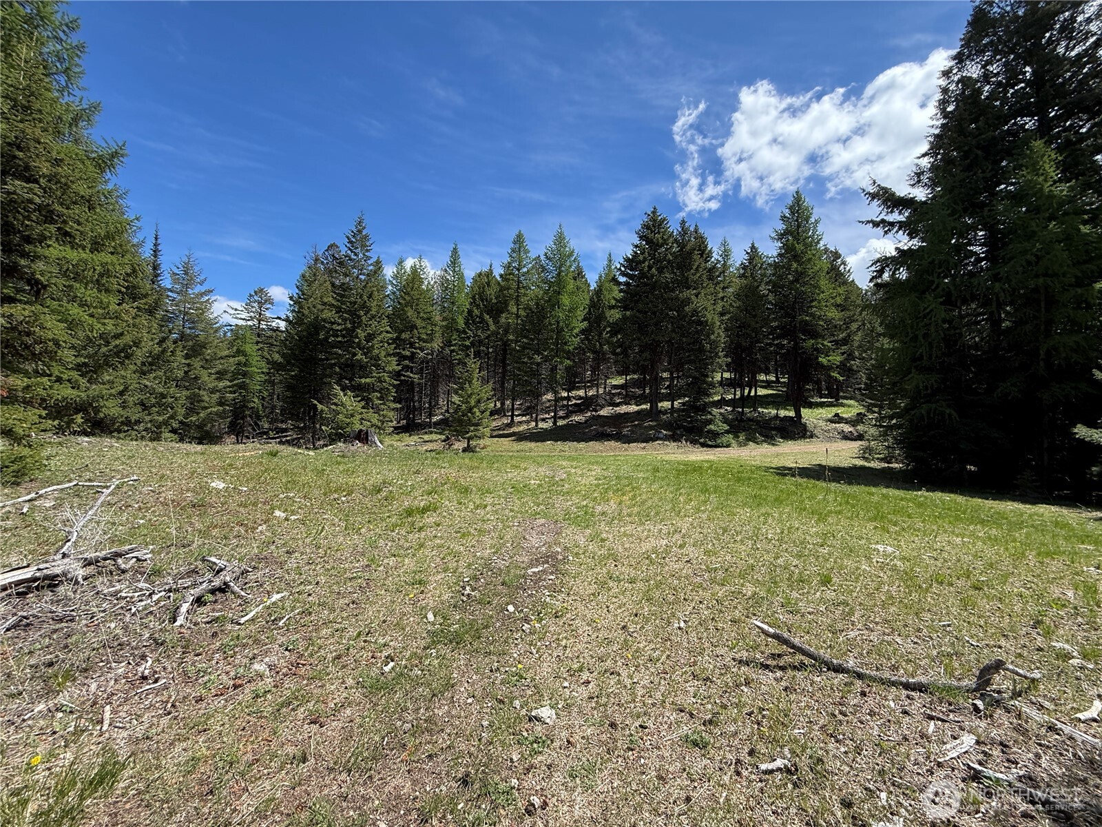 Toroda Creek Rd Wauconda WA 98859
