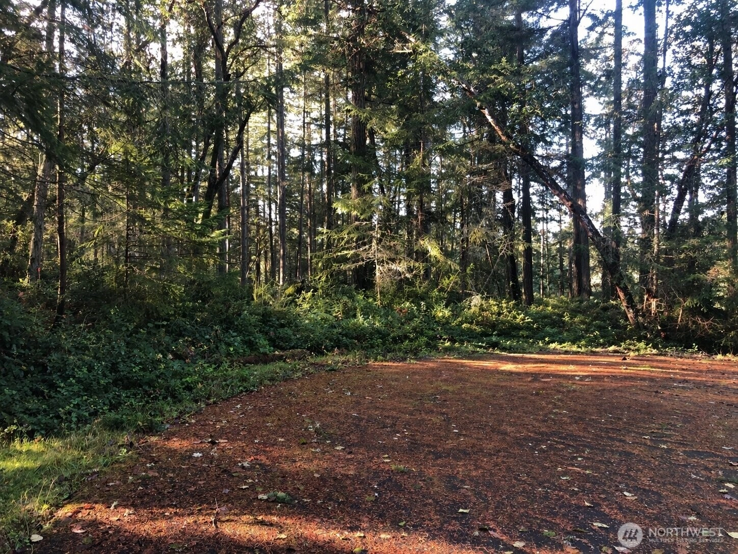 9501 116th Ave Ct Anderson Island WA 98303