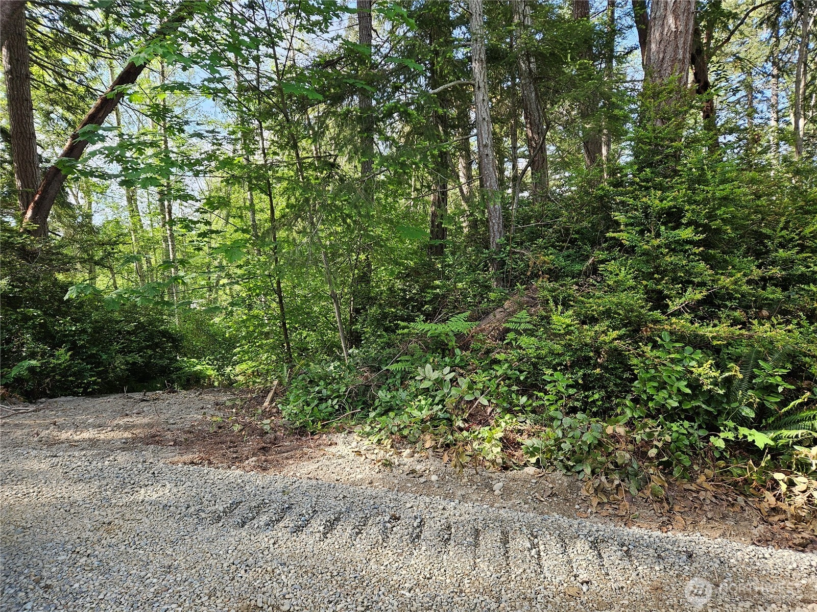 0 NKA Fox Rd Unit  Quilcene WA 98376
