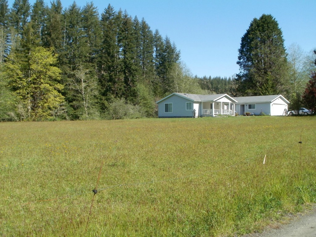 385 Green Creek Rd Menlo WA 98561